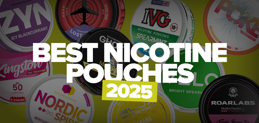 Best Nicotine Pouches 2025