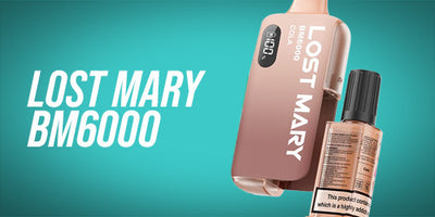 Lost Mary BM6000